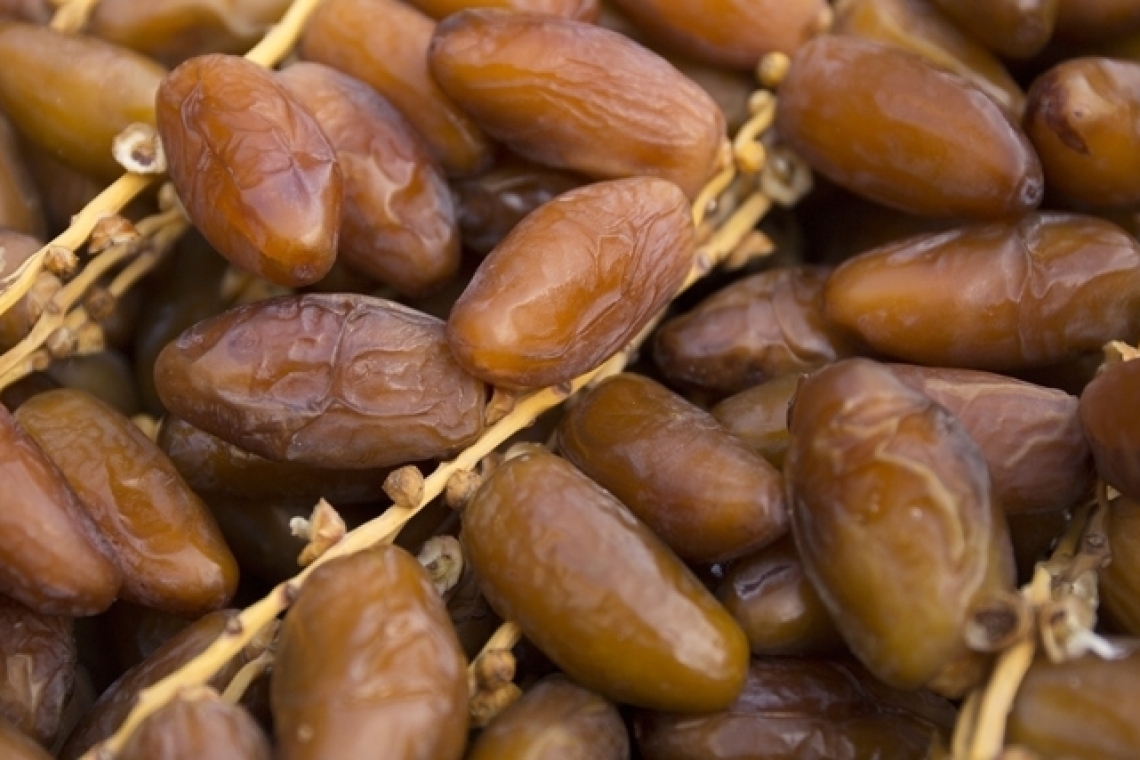 l’Observatoire national de l’agriculture : La Tunisie a exporté environ  100  tonnes de dattes    