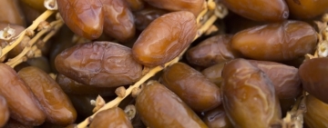 l’Observatoire national de l’agriculture : La Tunisie a exporté environ  100  tonnes de dattes    