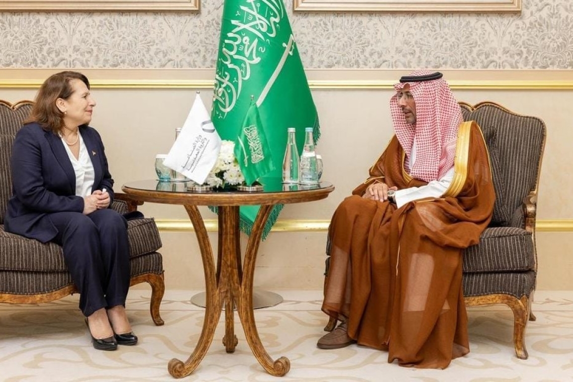 نحو تعزيز التعاون التونسي السعودي في قطاعي الصناعة والمناجم