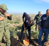 Hyundai Tunisie lance la 2ᵉ édition de son initiative écologique : Un arbre planté pour chaque véhicule vendu en 2024