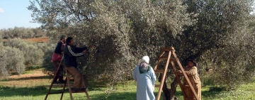 رسوم ترمب  تفاقم مخاوف التعثر الاقتصادي في تونس