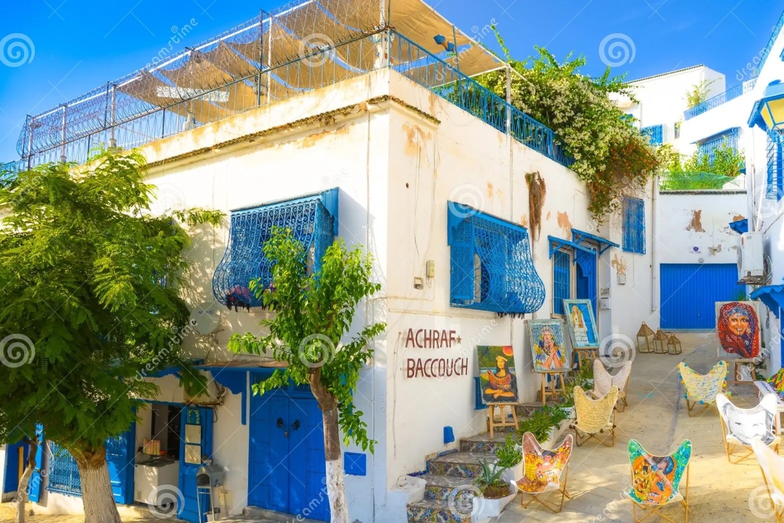 Sidi Bou Said :Alerte préventive au risque de glissement