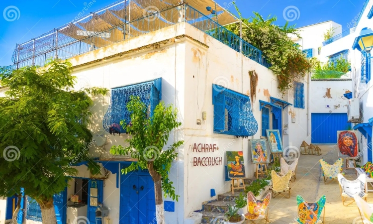Sidi Bou Said :Alerte préventive au risque de glissement