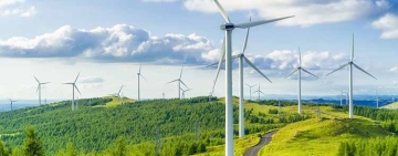 قريبا تسهيلات للاستثمار في الاقتصاد الأخضر في تونس