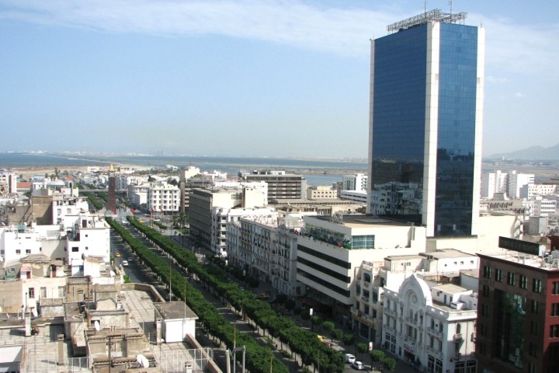 مشاريع الطاقات المتجددة تقفز بمؤشرات الاستثمار في تونس