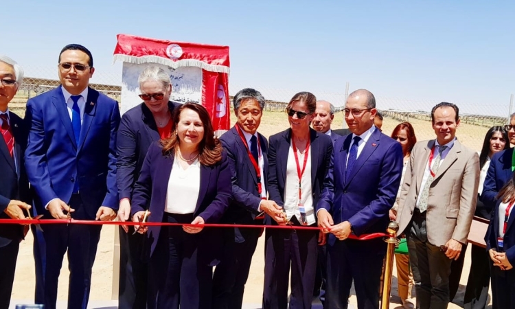 وزيرة الصناعة والطاقة : نسعى الى  وضع كافة التسهيلات لدفع مشاريع الطاقة المتجددة